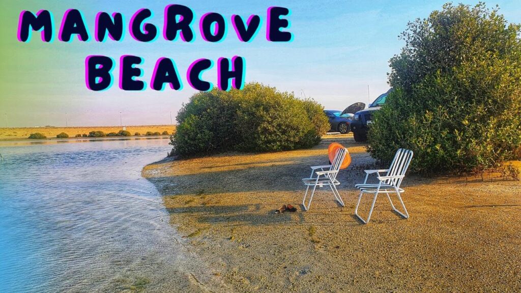 Mangrove Beach