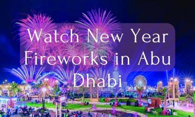 Watch New Year Fireworks in Abu Dhabi