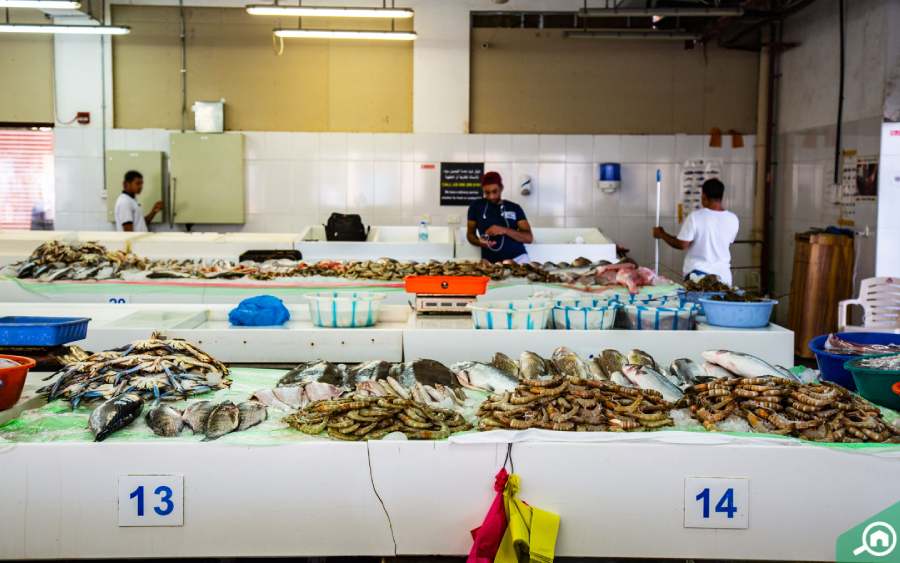 Inside the Jumeirah Fish Market