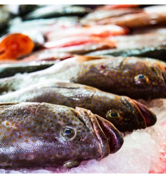 Jumeirah Fish Market
